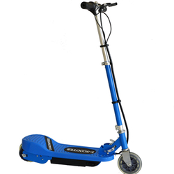 E-Scooter E1013-100