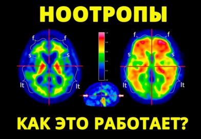 Ноотропы (список препаратов по эффективности) по отзывам Ноотропы (список препаратов по эффективности) по отзывам