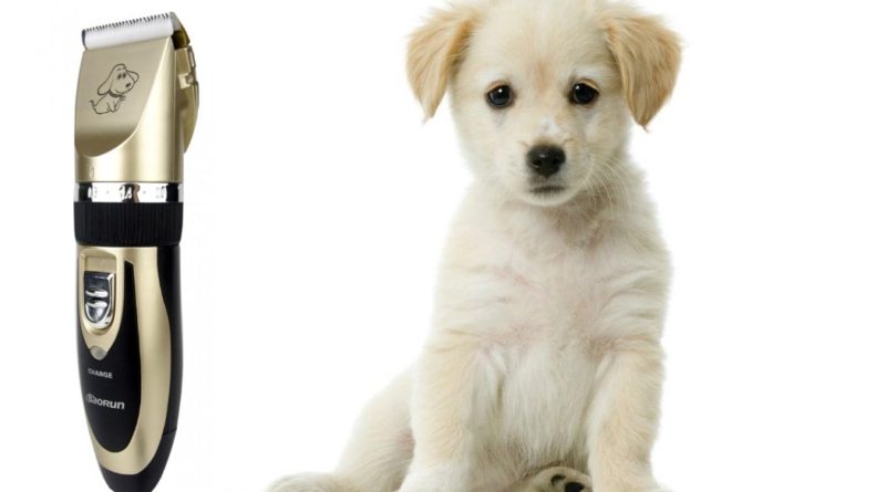 Лучшие машинки для стрижки собак по отзывам.