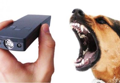 Лучшие отпугиватели для собак