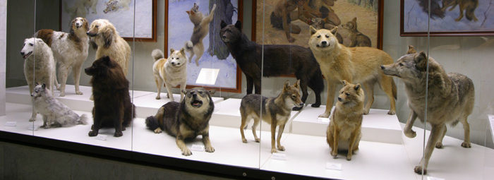 Самый модный музей в москве