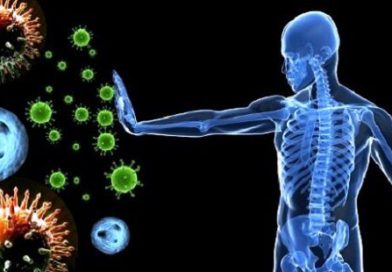 Как поднимать иммунитет, 25 способов Как поднимать иммунитет, 25 способов