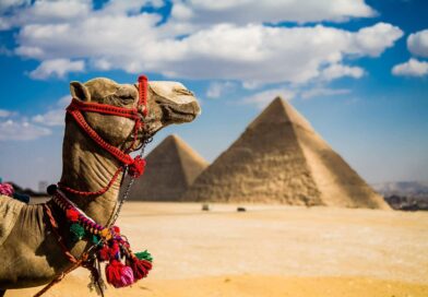 Лучшие отели Египта 5 звезд (Все включено) Лучшие отели Египта 5 звезд (Все включено)